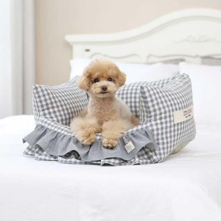 Kone Frill Bed (4 colors) Pre-Order-Beige-M