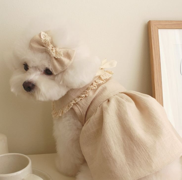 Madeleine Linen Ready Stock-Mustard-XL